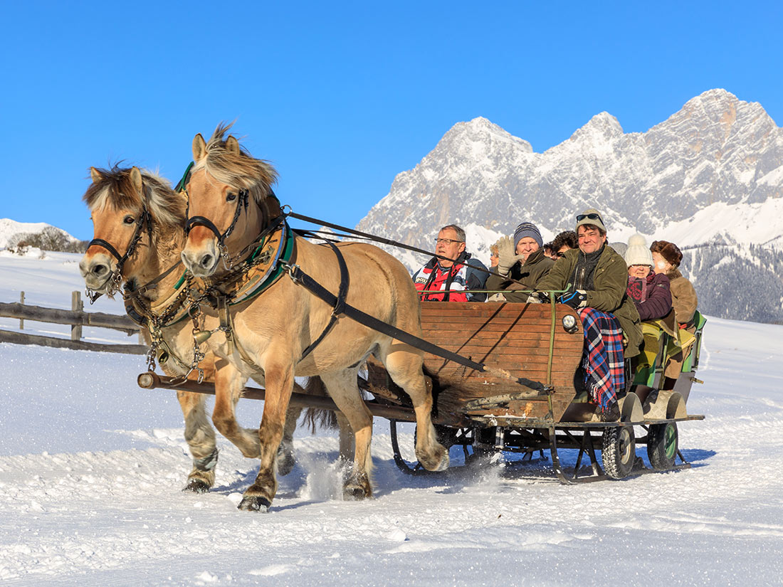 Horse-drawn sleigh ride with a view of the Dachstein
